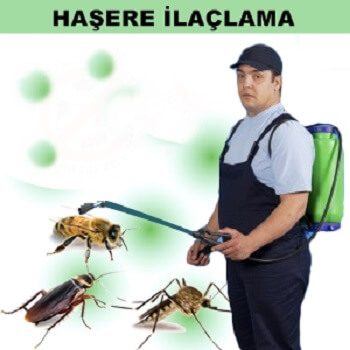 Akçakoca Böcek İlaçlama